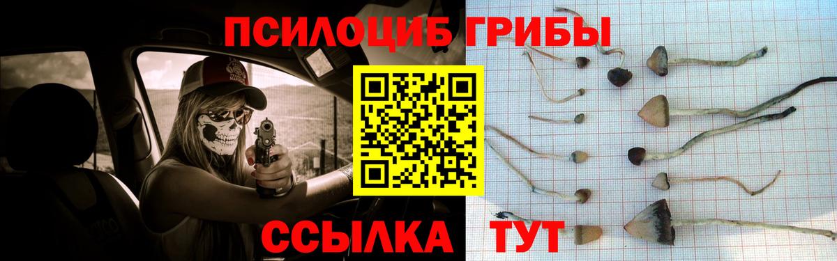 Евпатория  Псилоцибиновые грибы Magic Shrooms  Галлюциногенные грибы Psilocybine cubensis  Вход с VPN 