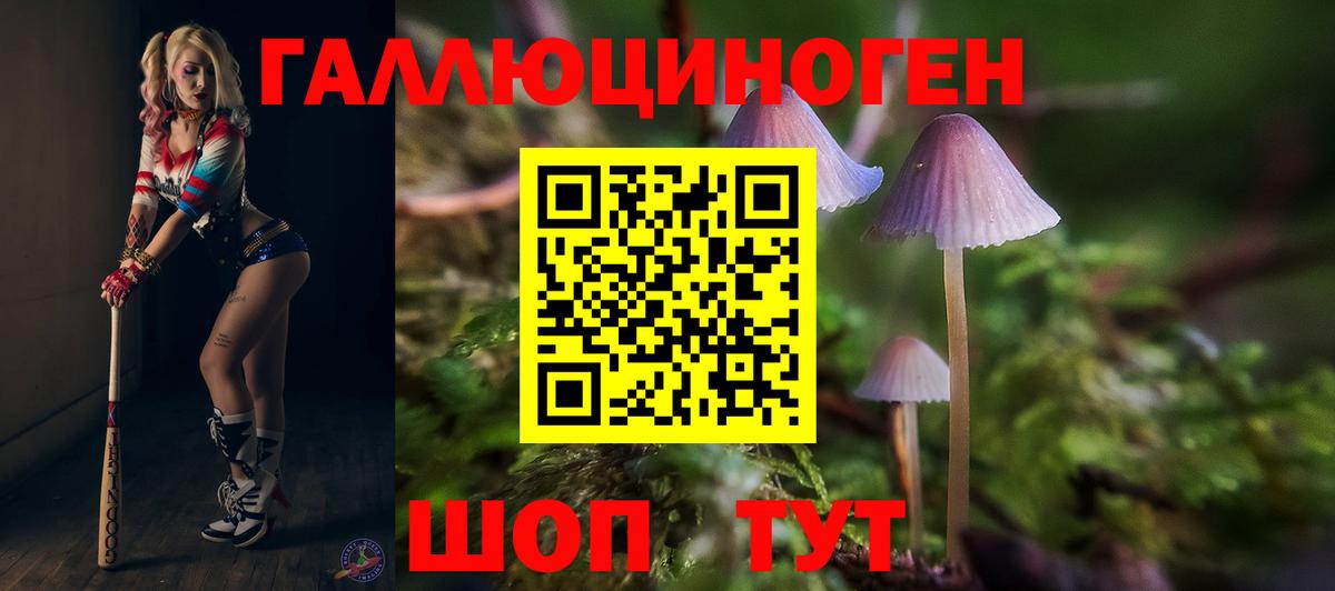 Галлюциногенные грибы Psilocybine cubensis Евпатория